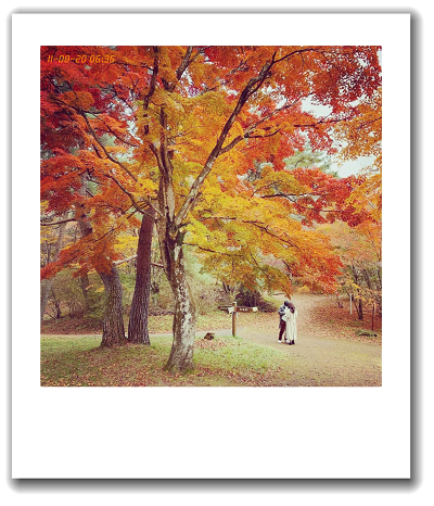 チェキ風加工 無料でiphone写真をチェキ風加工する方法 チェキ風加工 無料でiphone写真をチェキ風加工する方法
